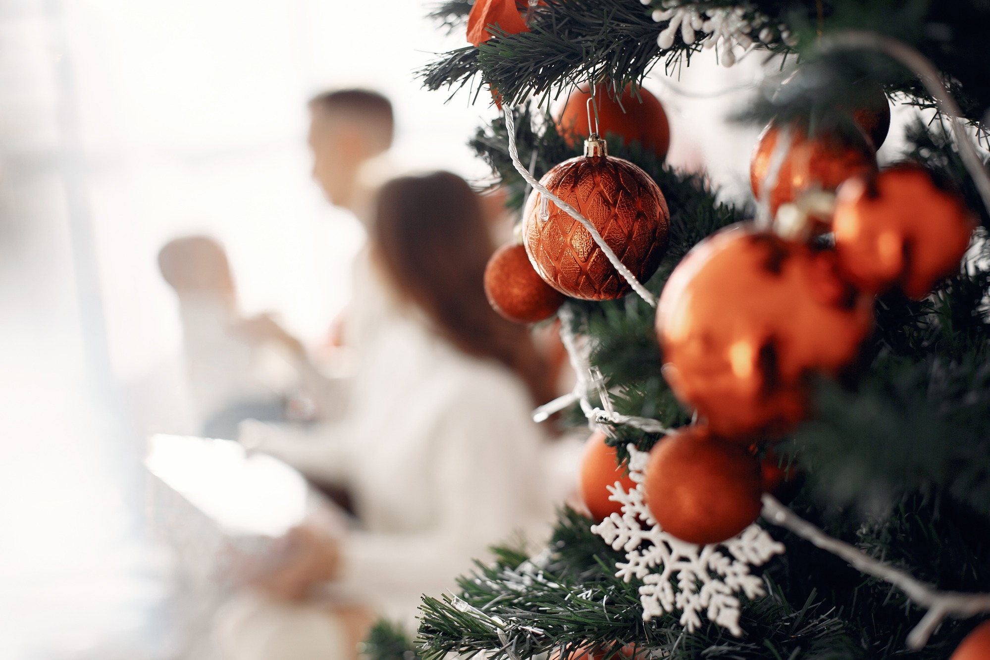 Orbit Hotels Christmas Special Week